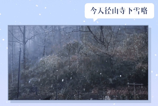 杭州下雪了！快躲进这五个“神仙浴场”，看完就暖和起来